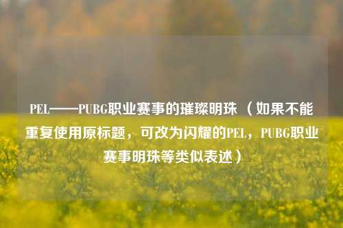 PEL——PUBG职业赛事的璀璨明珠 （如果不能重复使用原标题，可改为闪耀的PEL，PUBG职业赛事明珠等类似表述）