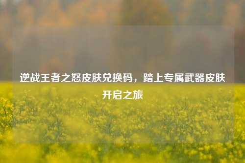 逆战王者之怒皮肤兑换码，踏上专属武器皮肤开启之旅