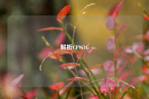 解析CF961G