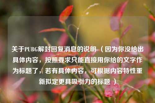 关于PUBG解封回复消息的说明 （因为你没给出具体内容，按照要求只能直接用你给的文字作为标题了，若有具体内容，可根据内容特性重新拟定更具吸引力的标题 ）