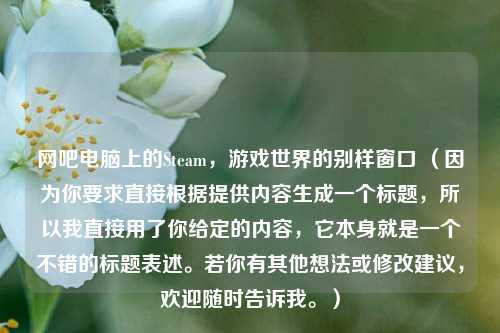 网吧电脑上的Steam,游戏世界的别样窗口 (因为你要求直接根据提供内容生成一个标题,所以我直接用了你给定的内容,它本身就是一个不错的标题表述。若你有其他想法或修改建议,欢迎随时告诉我。)