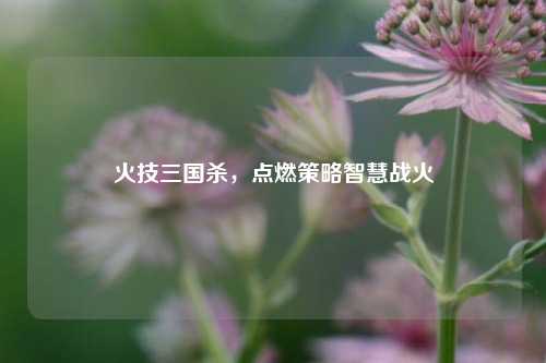 火技三国杀，点燃策略智慧战火