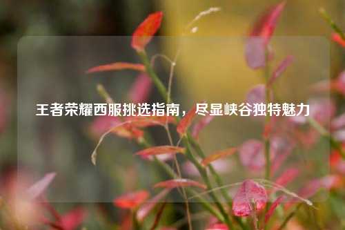王者荣耀西服挑选指南，尽显峡谷独特魅力