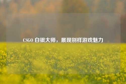 CSGO 白银大师，展现别样游戏魅力