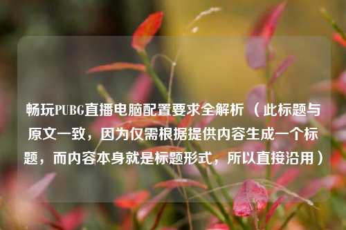 畅玩PUBG直播电脑配置要求全解析 （此标题与原文一致，因为仅需根据提供内容生成一个标题，而内容本身就是标题形式，所以直接沿用）