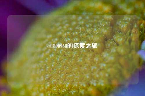 cf1800968的探索之旅
