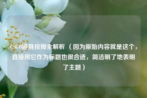 CSGO道具投掷全解析 （因为原始内容就是这个，直接用它作为标题也很合适，简洁明了地表明了主题）