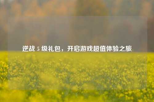 逆战 5 级礼包，开启游戏超值体验之旅