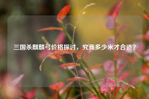 三国杀麒麟弓价格探讨，究竟多少米才合适？