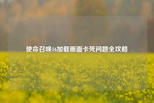 使命召唤16加载画面卡死问题全攻略
