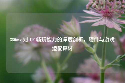 350mx 对 CF 畅玩能力的深度剖析，硬件与游戏适配探讨