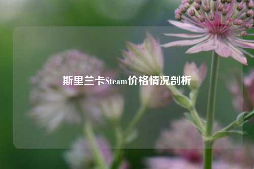 斯里兰卡Steam价格情况剖析