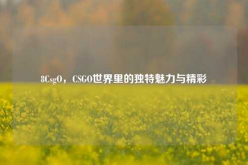 8CsgO，CSGO世界里的独特魅力与精彩
