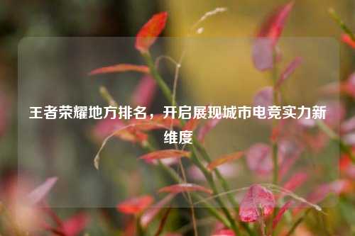王者荣耀地方排名，开启展现城市电竞实力新维度