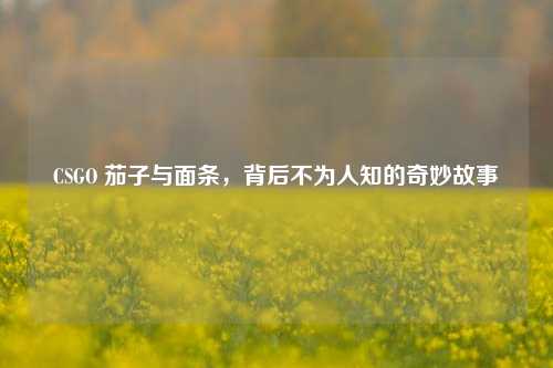 CSGO 茄子与面条，背后不为人知的奇妙故事