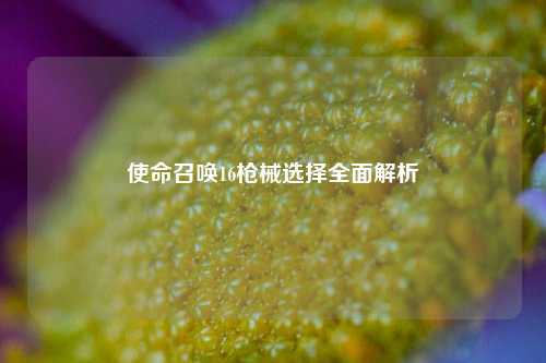 使命召唤16枪械选择全面解析