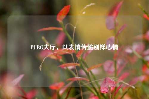 PUBG大厅,以表情传递别样心情