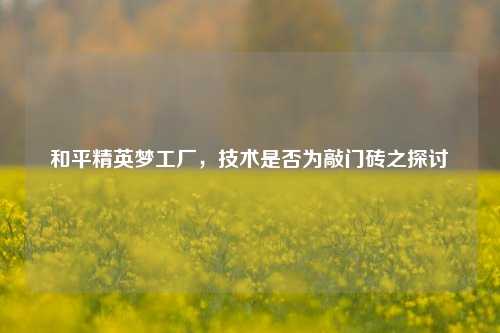 和平精英梦工厂,技术是否为敲门砖之探讨