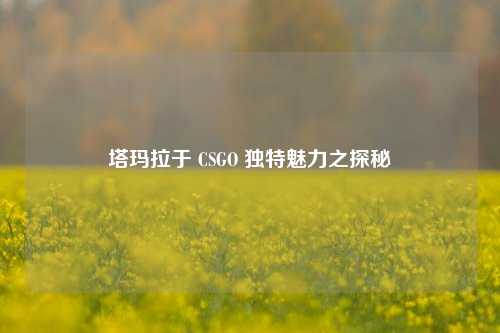 塔玛拉于 CSGO 独特魅力之探秘