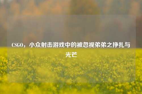 CSGO，小众射击游戏中的被忽视弟弟之挣扎与光芒