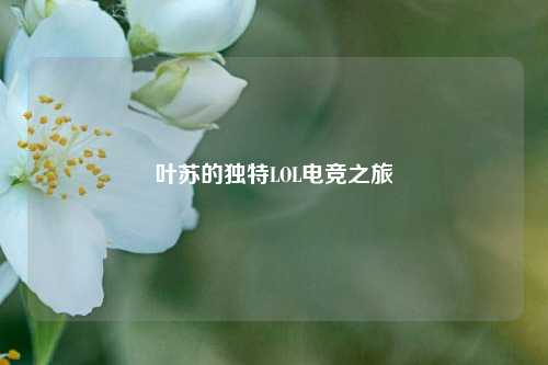 叶苏的独特LOL电竞之旅