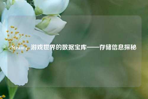 Steam,游戏世界的数据宝库——存储信息探秘