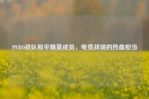 PERO战队和平精英成员，电竞战场的热血担当