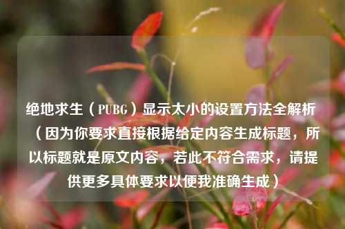 绝地求生（PUBG）显示太小的设置方法全解析 （因为你要求直接根据给定内容生成标题，所以标题就是原文内容，若此不符合需求，请提供更多具体要求以便我准确生成）