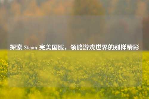 探索 Steam 完美国服，领略游戏世界的别样精彩