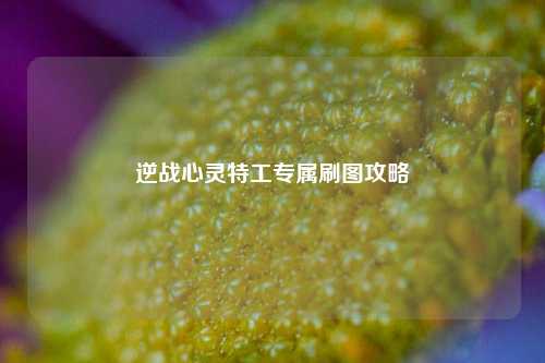 逆战心灵特工专属刷图攻略