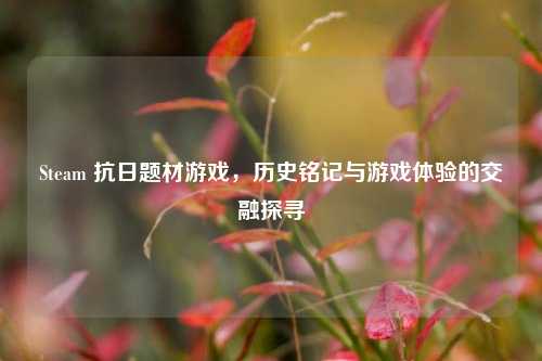 Steam 抗日题材游戏，历史铭记与游戏体验的交融探寻