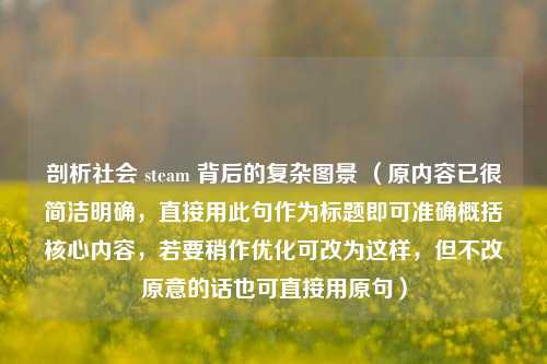 剖析社会 steam 背后的复杂图景 （原内容已很简洁明确，直接用此句作为标题即可准确概括核心内容，若要稍作优化可改为这样，但不改原意的话也可直接用原句）