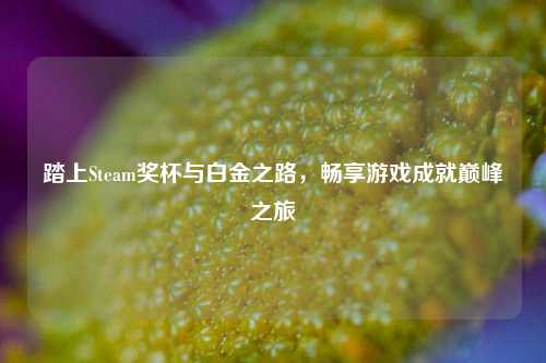 踏上Steam奖杯与白金之路，畅享游戏成就巅峰之旅