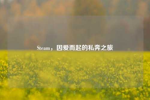 Steam,因爱而起的私奔之旅