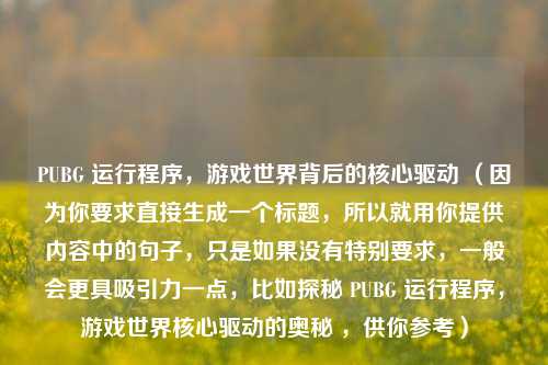 PUBG 运行程序，游戏世界背后的核心驱动 （因为你要求直接生成一个标题，所以就用你提供内容中的句子，只是如果没有特别要求，一般会更具吸引力一点，比如探秘 PUBG 运行程序，游戏世界核心驱动的奥秘 ，供你参考）