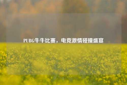 PUBG牛牛比赛,电竞激情碰撞盛宴