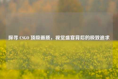 探寻 CSGO 顶级画质，视觉盛宴背后的极致追求