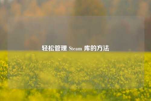 轻松管理 Steam 库的方法