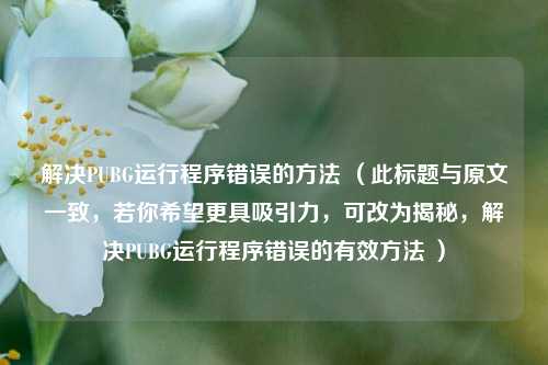 解决PUBG运行程序错误的方法 (此标题与原文一致,若你希望更具吸引力,可改为揭秘,解决PUBG运行程序错误的有效方法 )