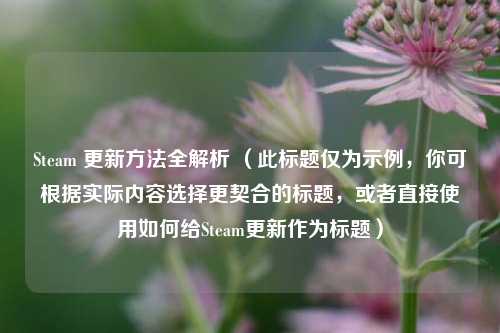 Steam 更新方法全解析 (此标题仅为示例,你可根据实际内容选择更契合的标题,或者直接使用如何给Steam更新作为标题)