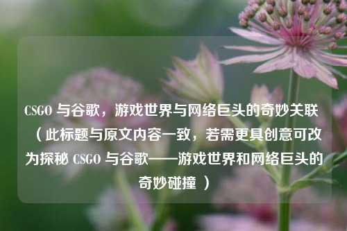 CSGO 与谷歌，游戏世界与网络巨头的奇妙关联 （此标题与原文内容一致，若需更具创意可改为探秘 CSGO 与谷歌——游戏世界和网络巨头的奇妙碰撞 ）