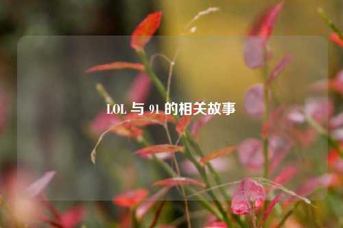 LOL 与 91 的相关故事