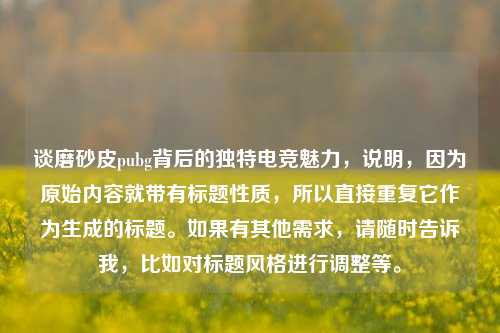 谈磨砂皮pubg背后的独特电竞魅力,说明,因为原始内容就带有标题性质,所以直接重复它作为生成的标题。如果有其他需求,请随时告诉我,比如对标题风格进行调整等。