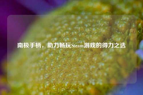 南极手柄，助力畅玩Steam游戏的得力之选