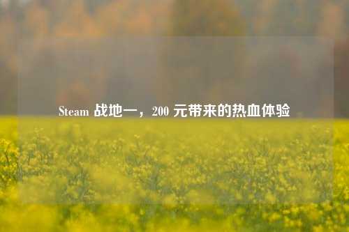 Steam 战地一,200 元带来的热血体验