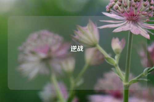 逆战
