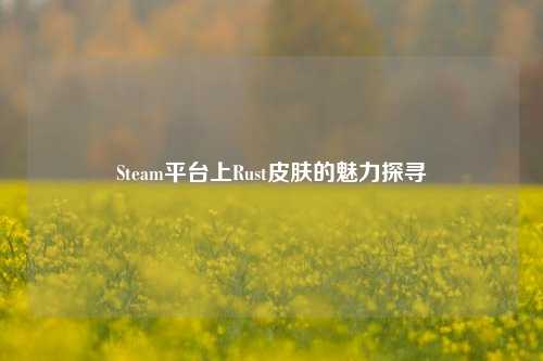 Steam平台上Rust皮肤的魅力探寻
