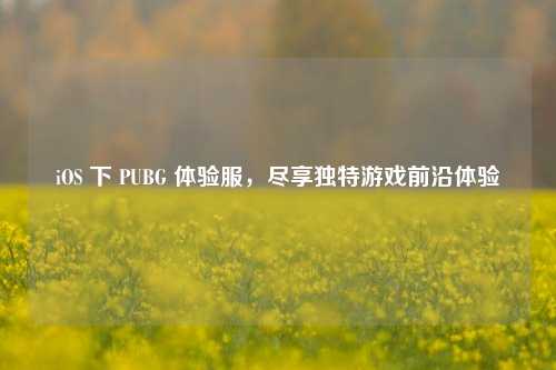iOS 下 PUBG 体验服，尽享独特游戏前沿体验