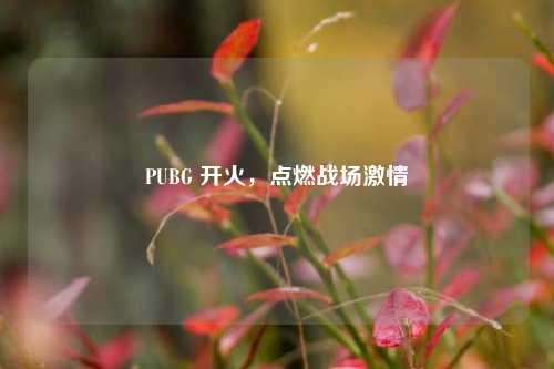 PUBG 开火，点燃战场激情