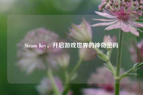 Steam Key，开启游戏世界的神奇密码